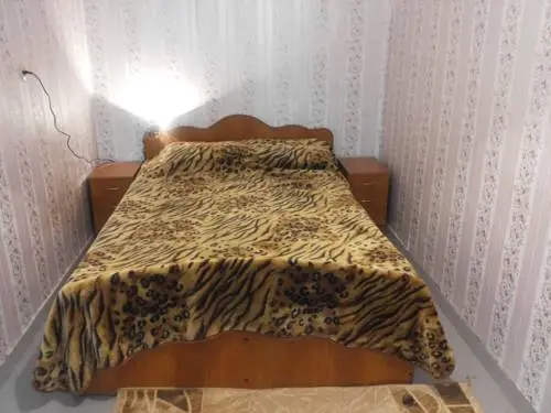 Воронеж: Streletsky Standart Apartments