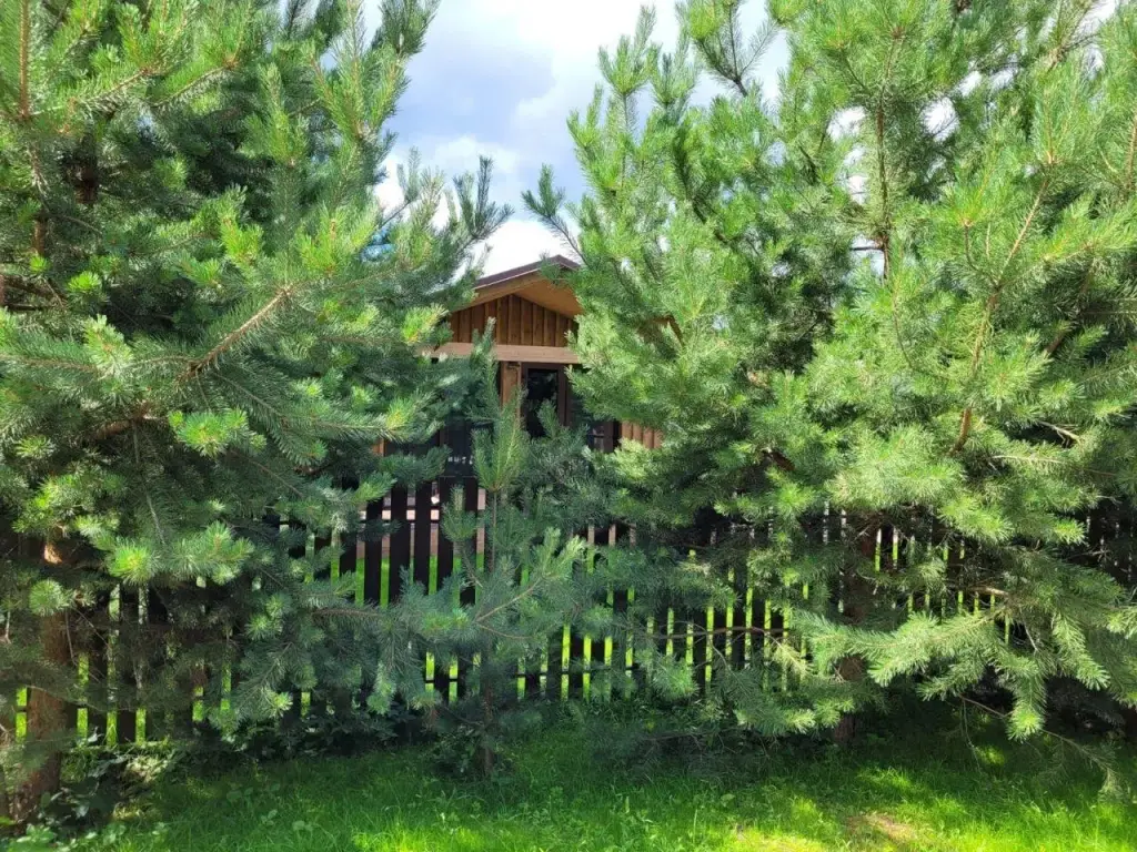 Звенигород: Домики на Луговом