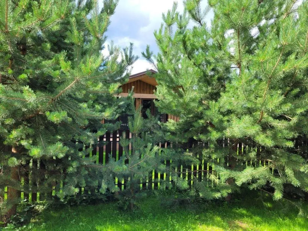 Звенигород: Домики на Луговом