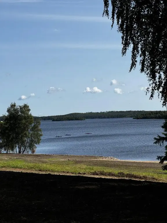 Нововилговское: Айно