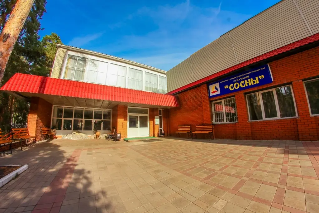 Горельский Лесхоз: Сосны плюс