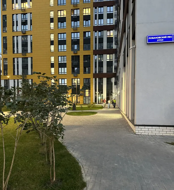 Внуково: Квартира однокомнатная на улице Лобановский лес 13