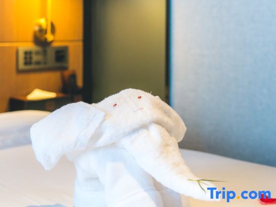 Шэньчжэнь: Ying Hotel