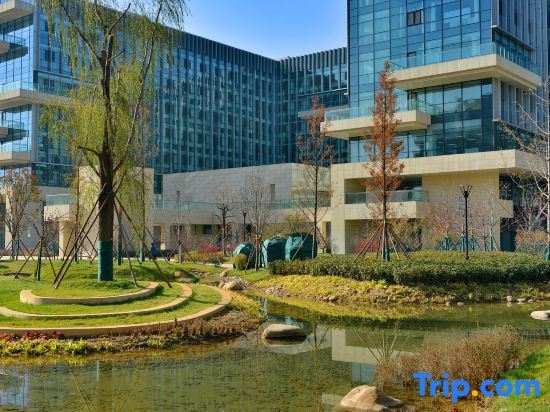 Цзинань: Airport Quanxiang Business Hotel (Jinan Yaoqiang Airport)