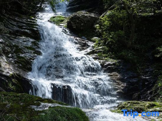 Цзиань: Wugong Mountain Hongyan Valley Leisure Mountain Villa