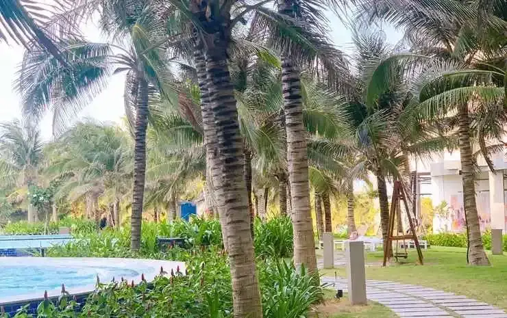 Камрань: The Sea View Cam Ranh Beach Apartment