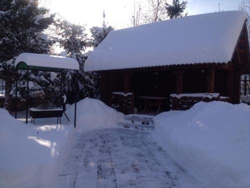 Белокуриха: Guest House Vostochny