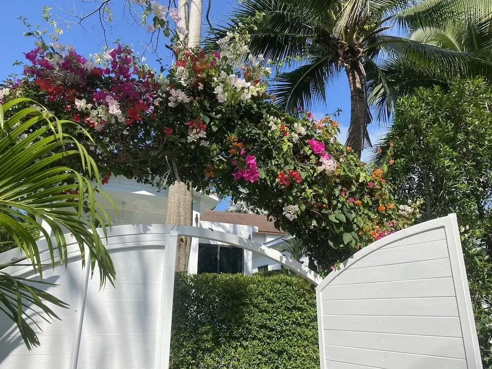 Bougain Villas Salad Beach — фото 1