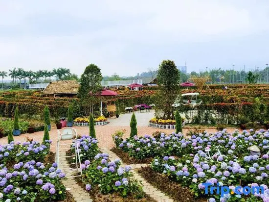 Ханой: Phuong nam Hotel - Long Bien