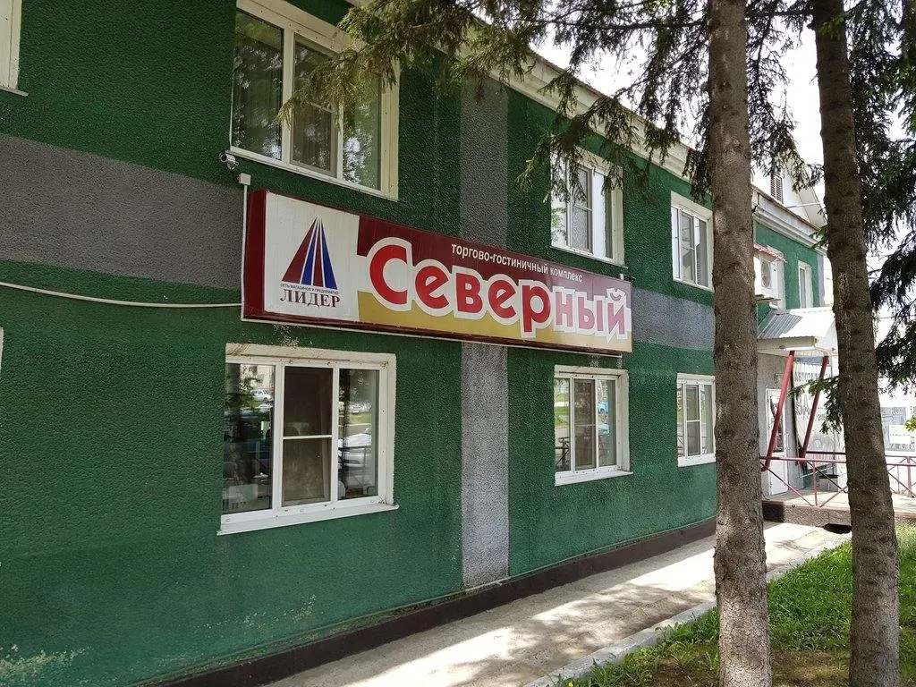 Заринск: Северная