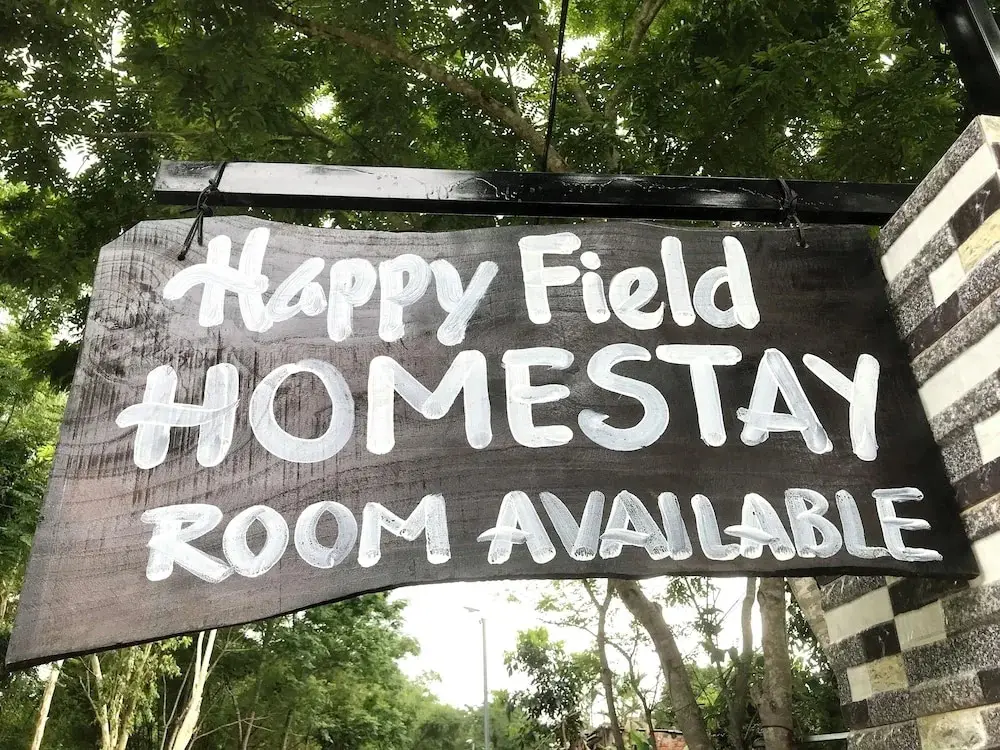 Happy field homesaty — фото 1