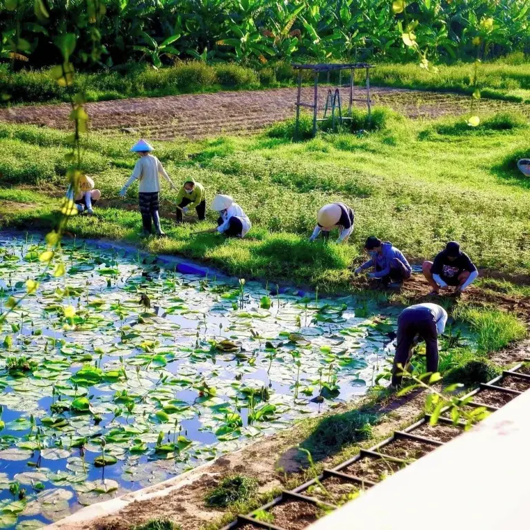 Диенбан: Thanh Chiem Village