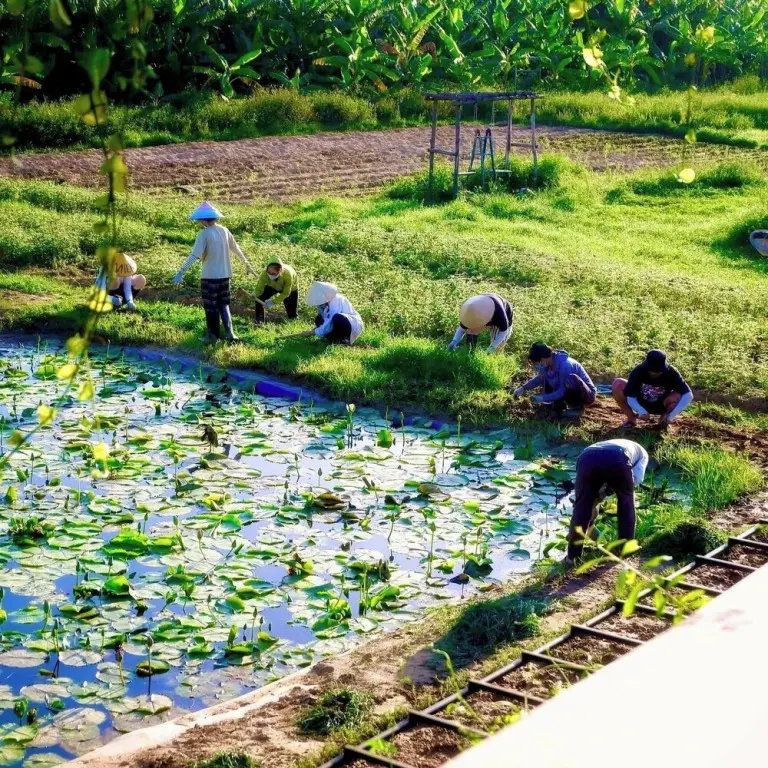 Диенбан: Thanh Chiem Village