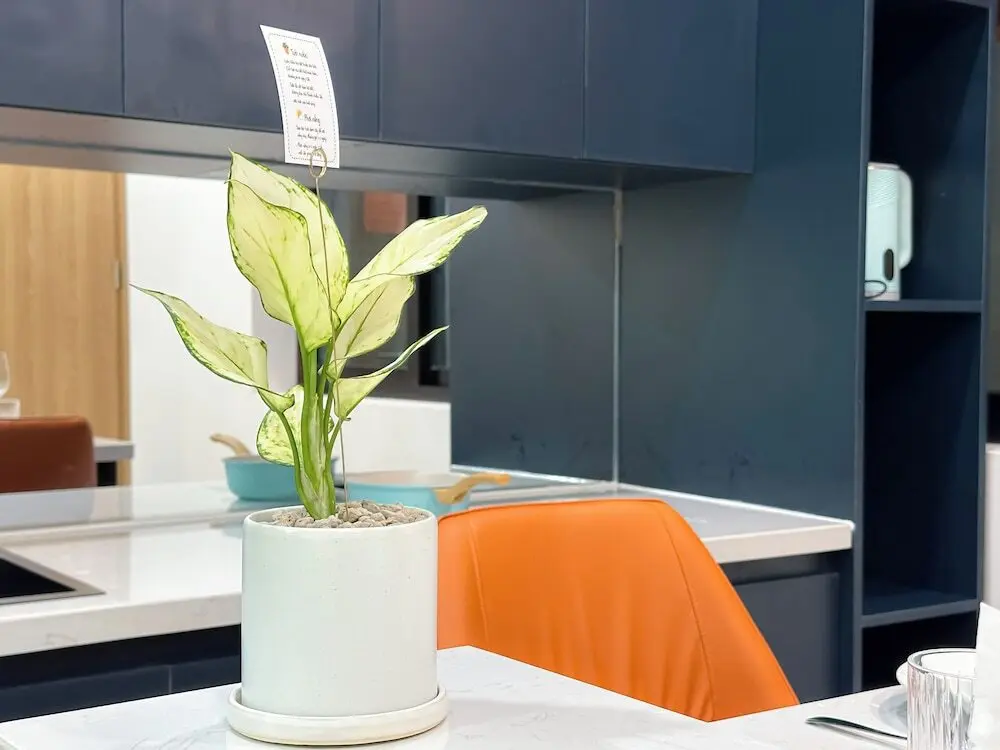 Хошимин: Unite Premier Apartment Ho Chi Minh