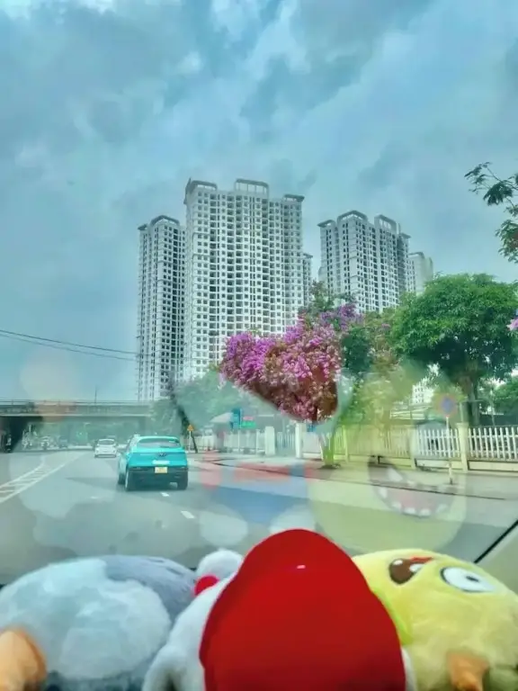 Ханой: Chill Home - Chung Cư Tecco Elite City
