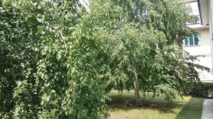 Камышин: Центра Туризма