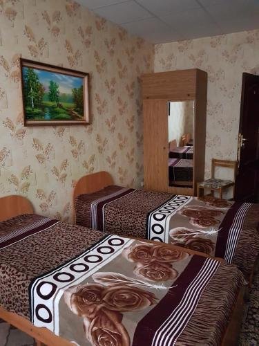Медуза — фото 1