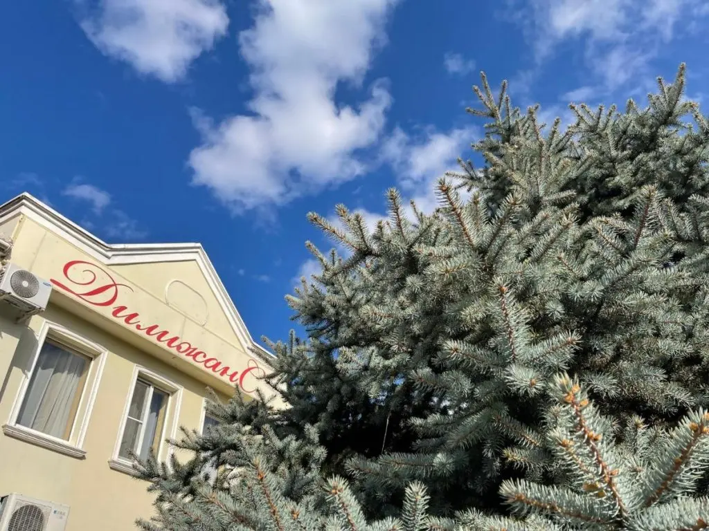 Дорожный: Отель Дилижанс