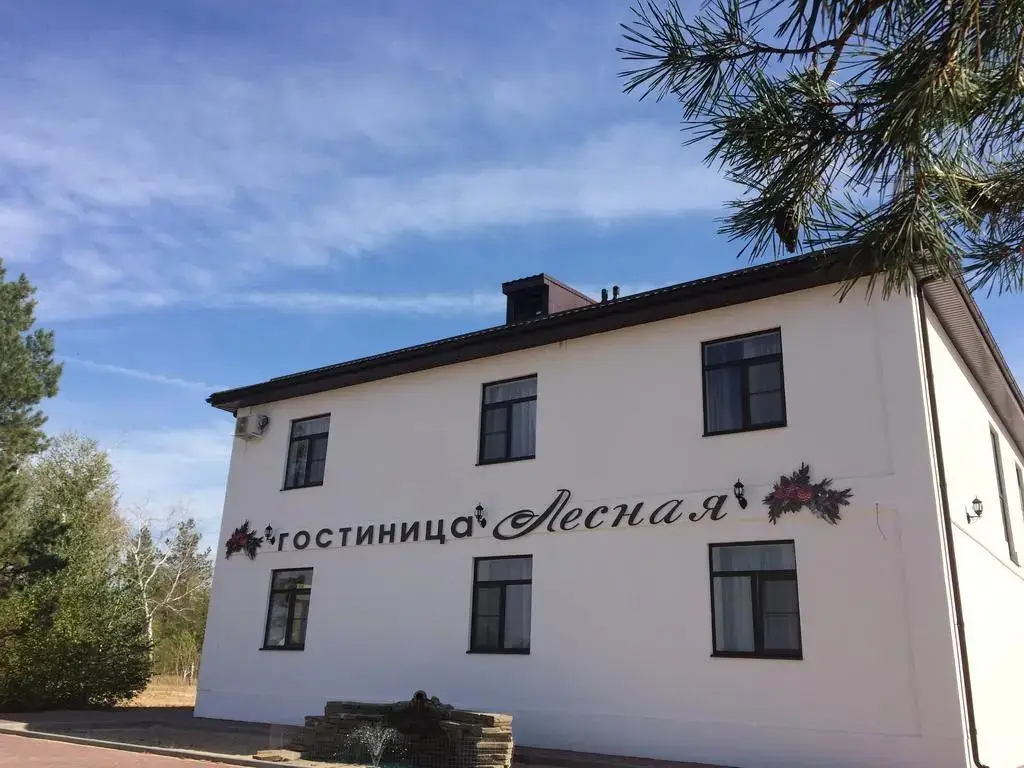 Гостиница Лесная  — фото 1