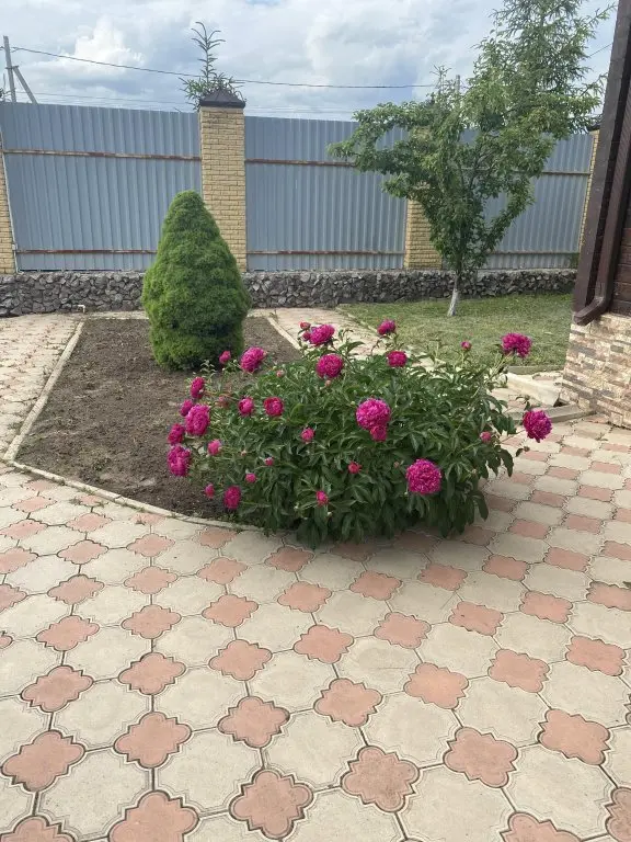 Миллерово: Гостевой дом Вип Хаус