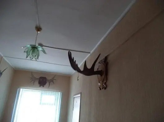 Сургут: Berloga