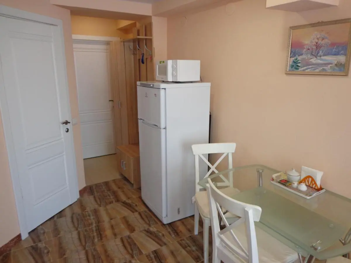 Сочи: Studio Apartment on Vinogradnaya