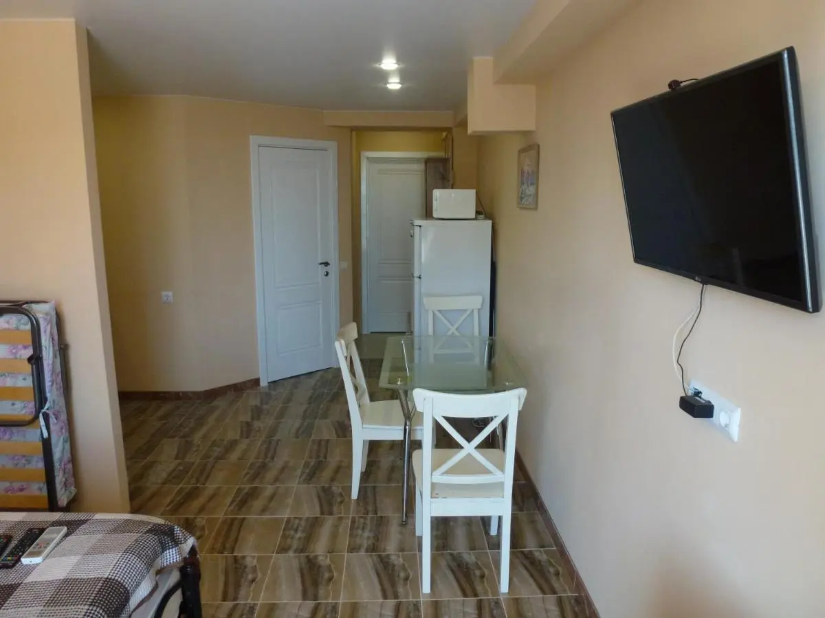 Сочи: Studio Apartment on Vinogradnaya
