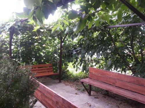 Пятихатки: Guest House Kurortniy 17