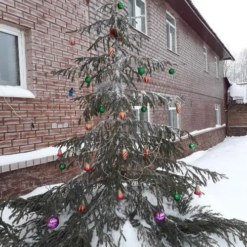 Губаха: Gostevoy Dom Na Zhdanova