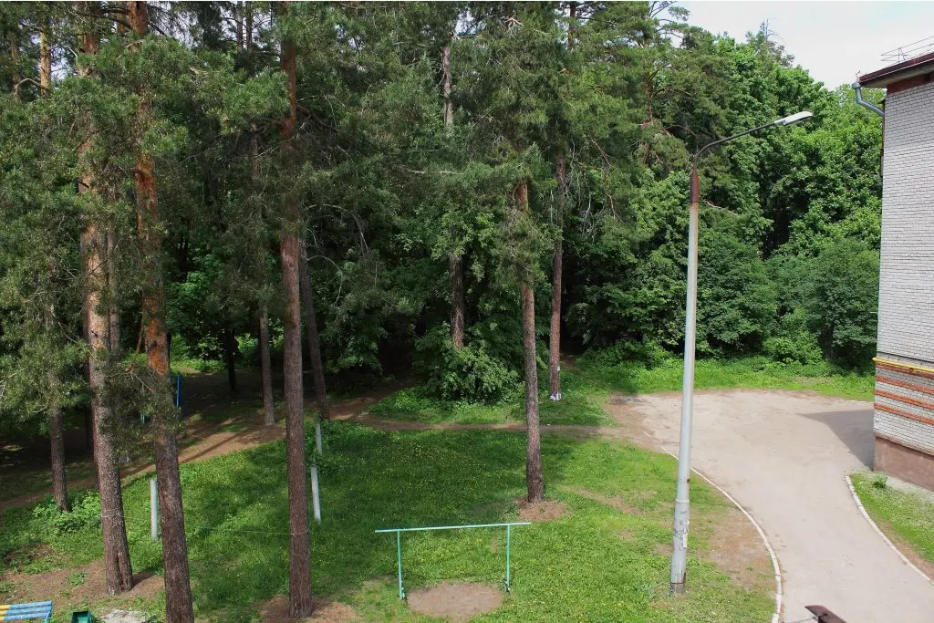 Димитровград: Elena Guest House