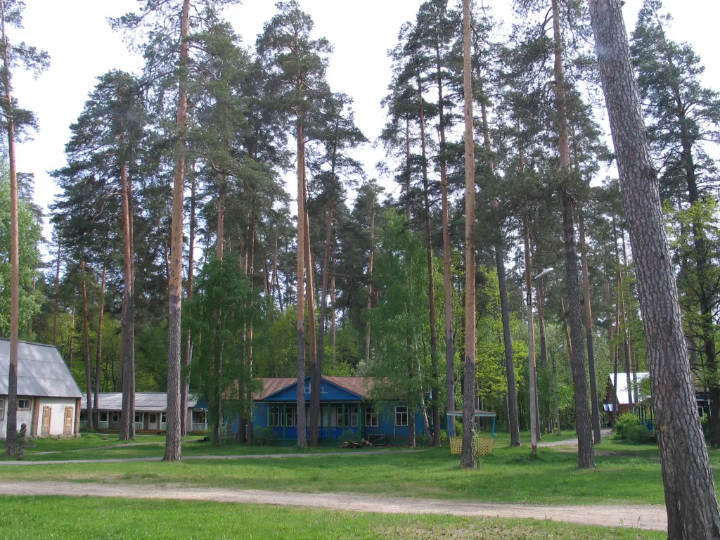 Белое Озеро: Pribrezhnyj DO