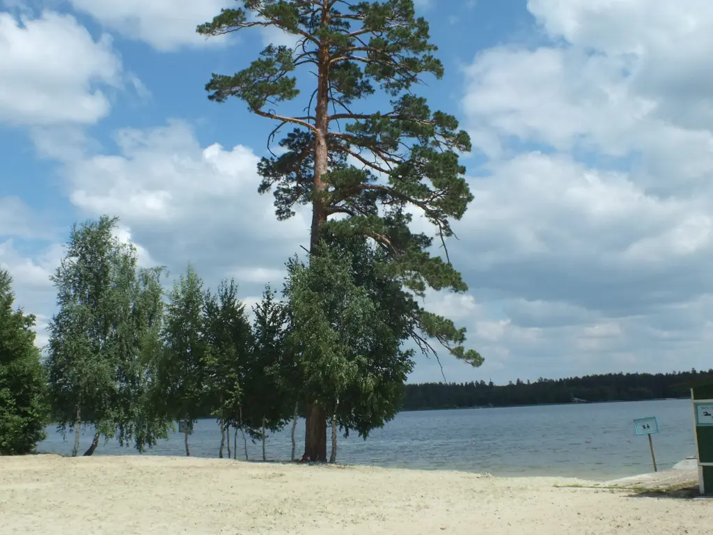 Белое Озеро: Pribrezhnyj DO