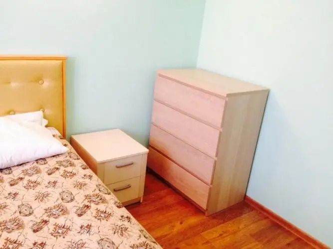 Пушкинские горы: Apartment on Lenina Street