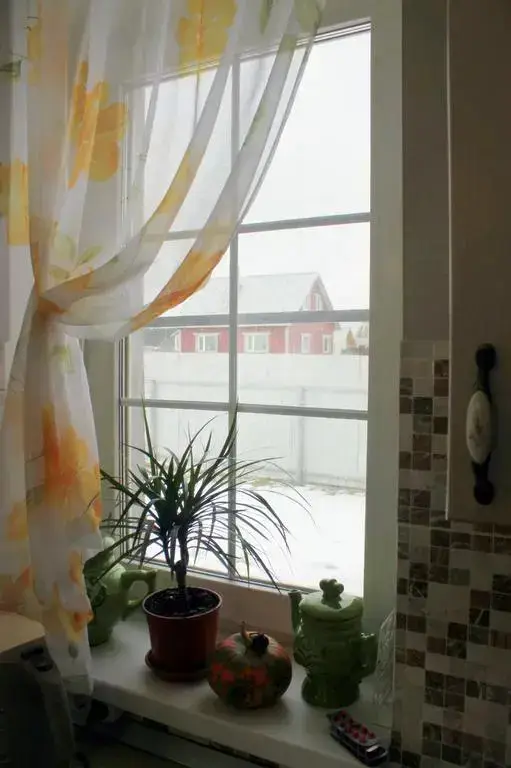 Пушкинские горы: Holiday Home Zvezdnaya