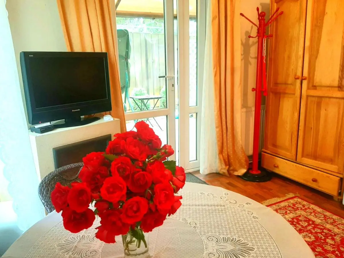 Светлогорск: Apartment Lenina
