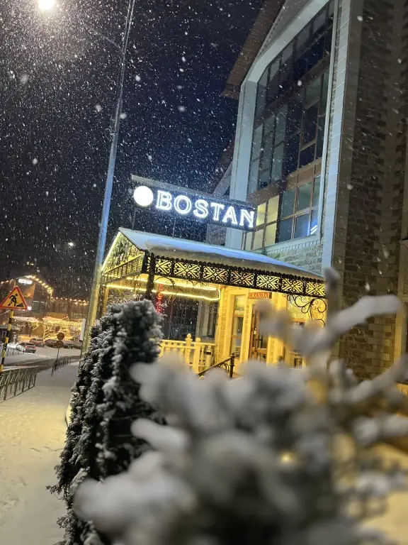 Отель Bostan — фото 1