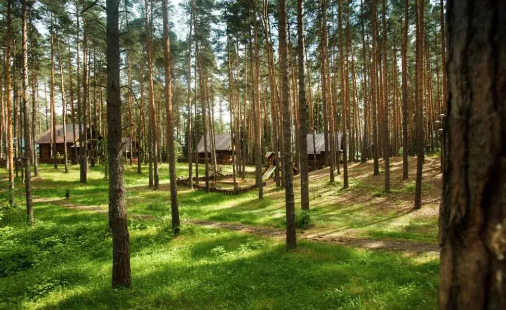 Юрьевское: Отель Загородный комплекс  Волжанка