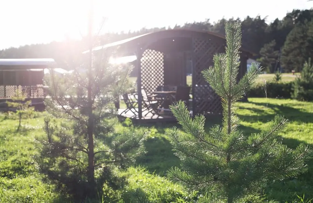 Юрьевское: Отель Загородный комплекс Волжанка