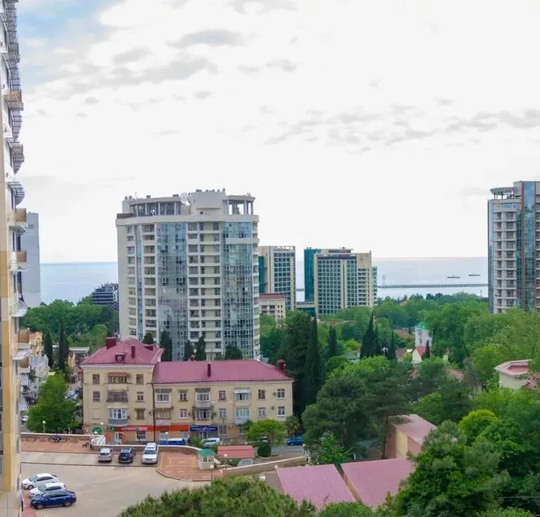 Сочи: Premier Apartment