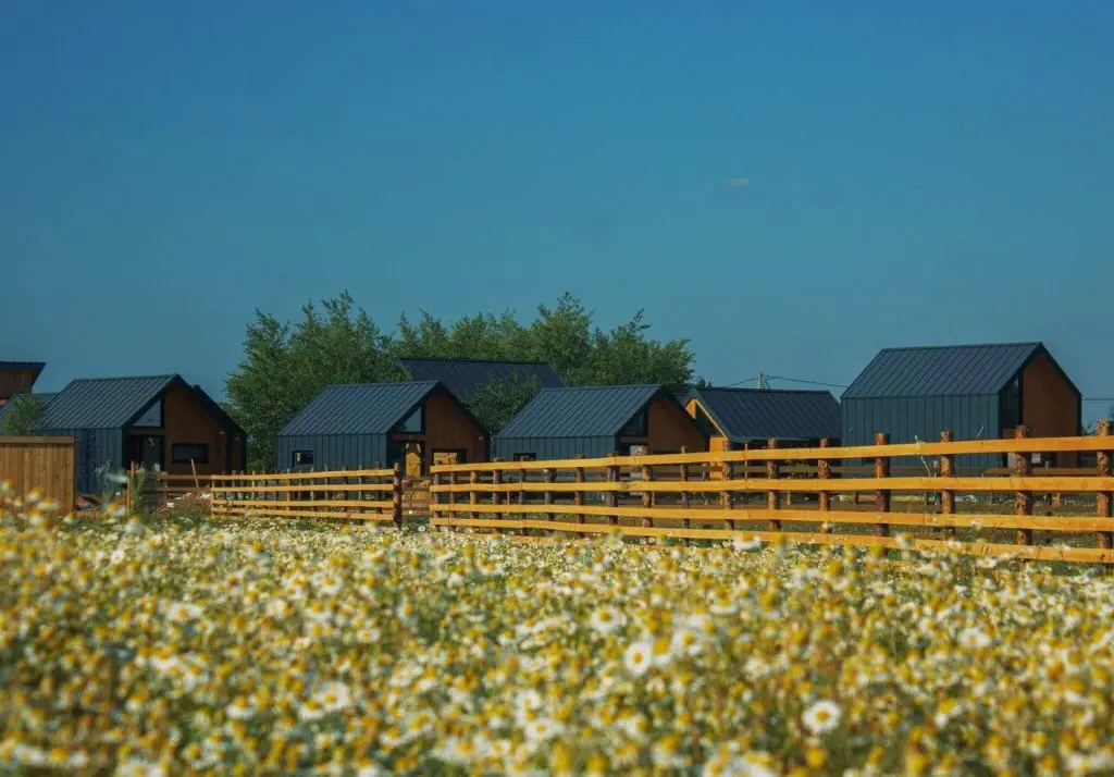 Чертовицы: Farm&Village