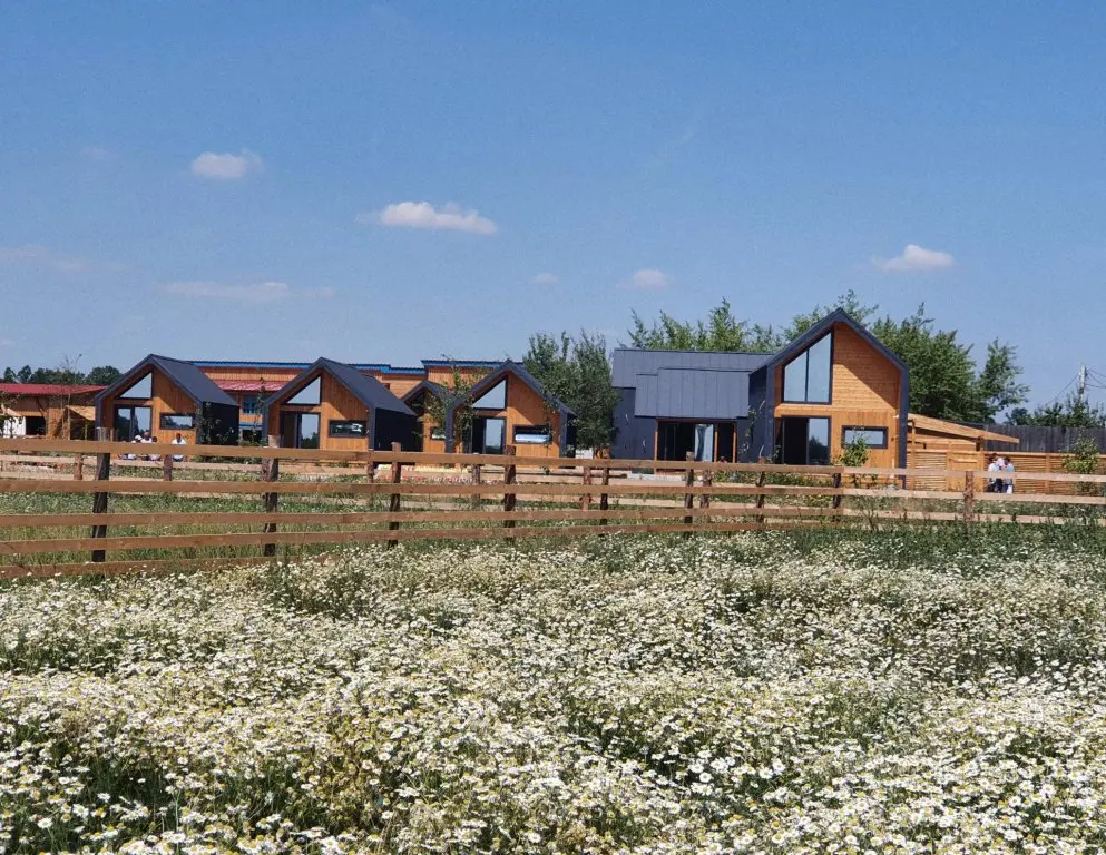 Чертовицы: Farm&Village