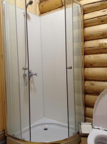 Богородск: Guest House Chizhkovo