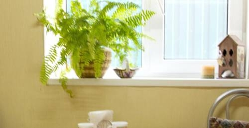 Краснодар: Guest House on Sedina Street