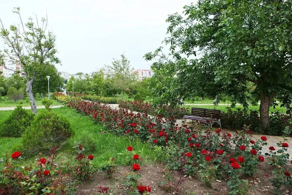 Анапа: Guest House on Ulitsa Tolstogo