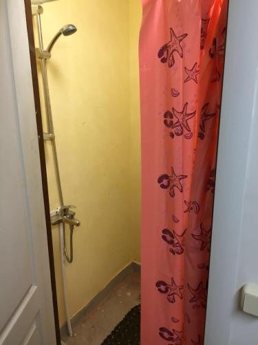 Краснодар: Hostel on Dorozhniy 1/1