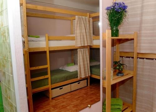 Челябинск: Green Hostel
