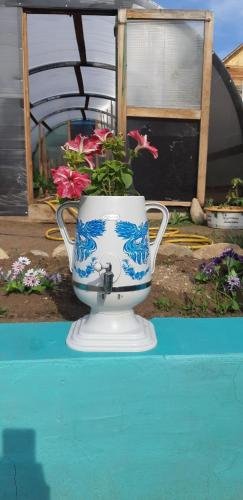 Хужир: Zolotaya Rybka
