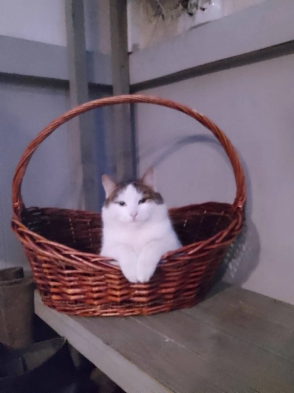 Ересино: Мини-отель Зайцева гора