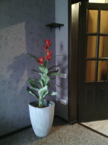 Великий Новгород: Na Ilyina Apartment
