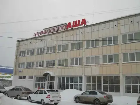 Аша — фото 1
